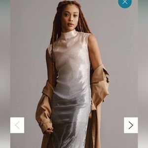 NWT Anthropologie sequin ombré cap sleeve dress, 6P